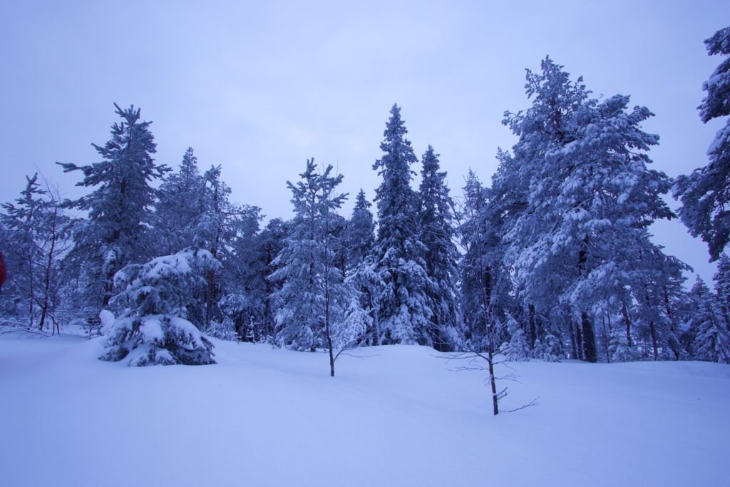 Stefano Tiozzo Travel Photography Tour Lapponia